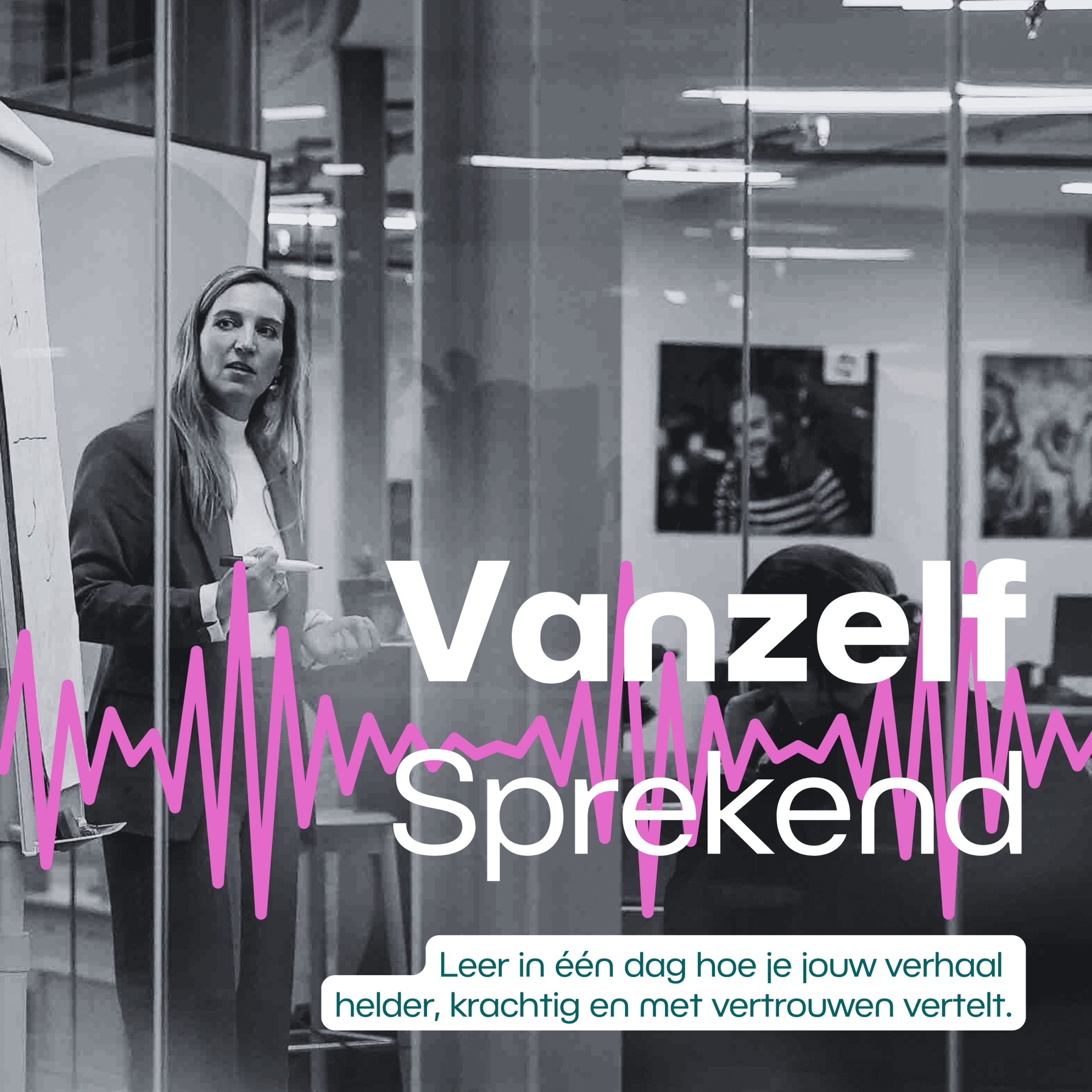 Vanzelf Sprekend